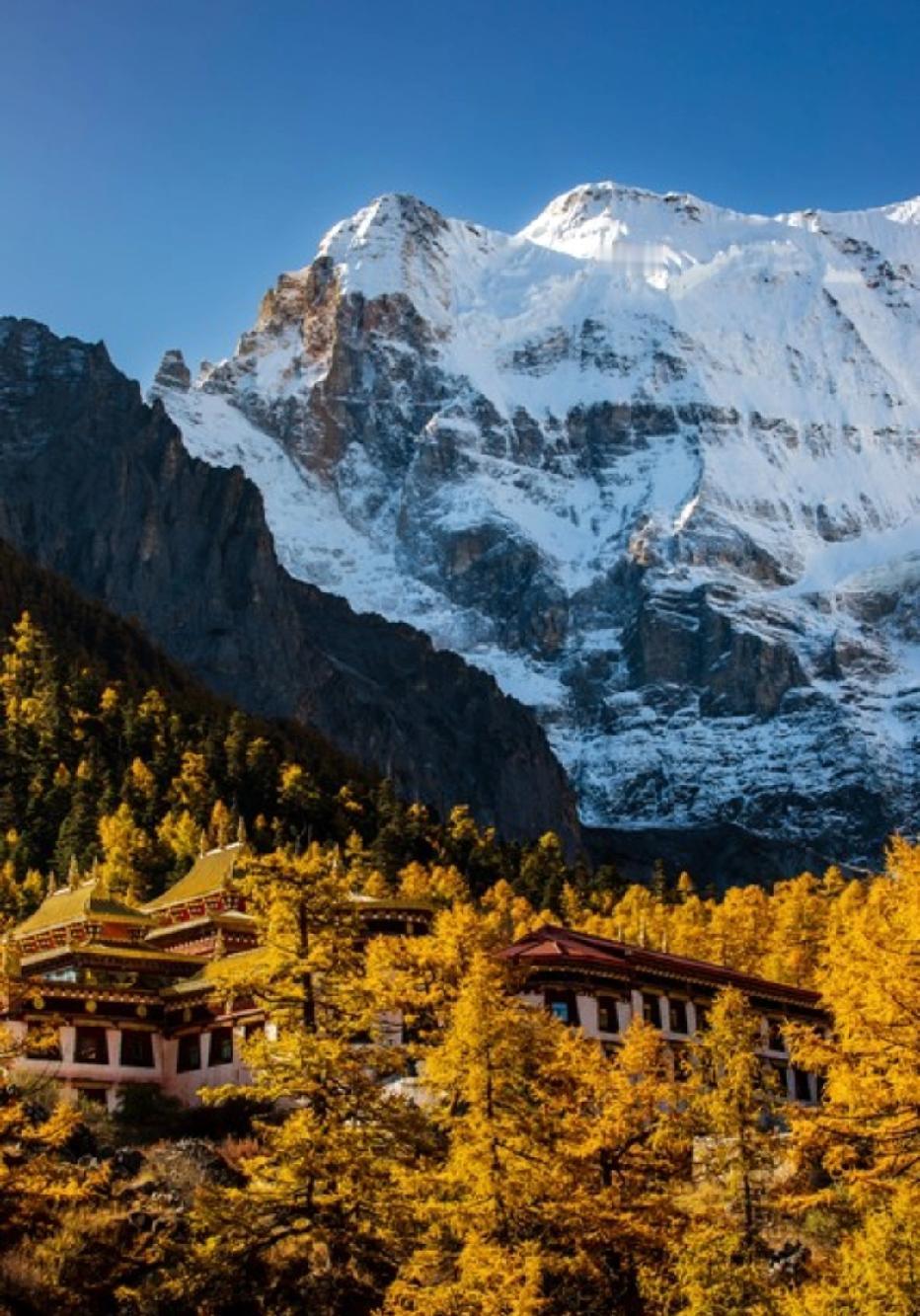 王朔说：“去酒吧看看，金钱面前颜值算什么；去工地看看，生活面前尊严算什么；去医院