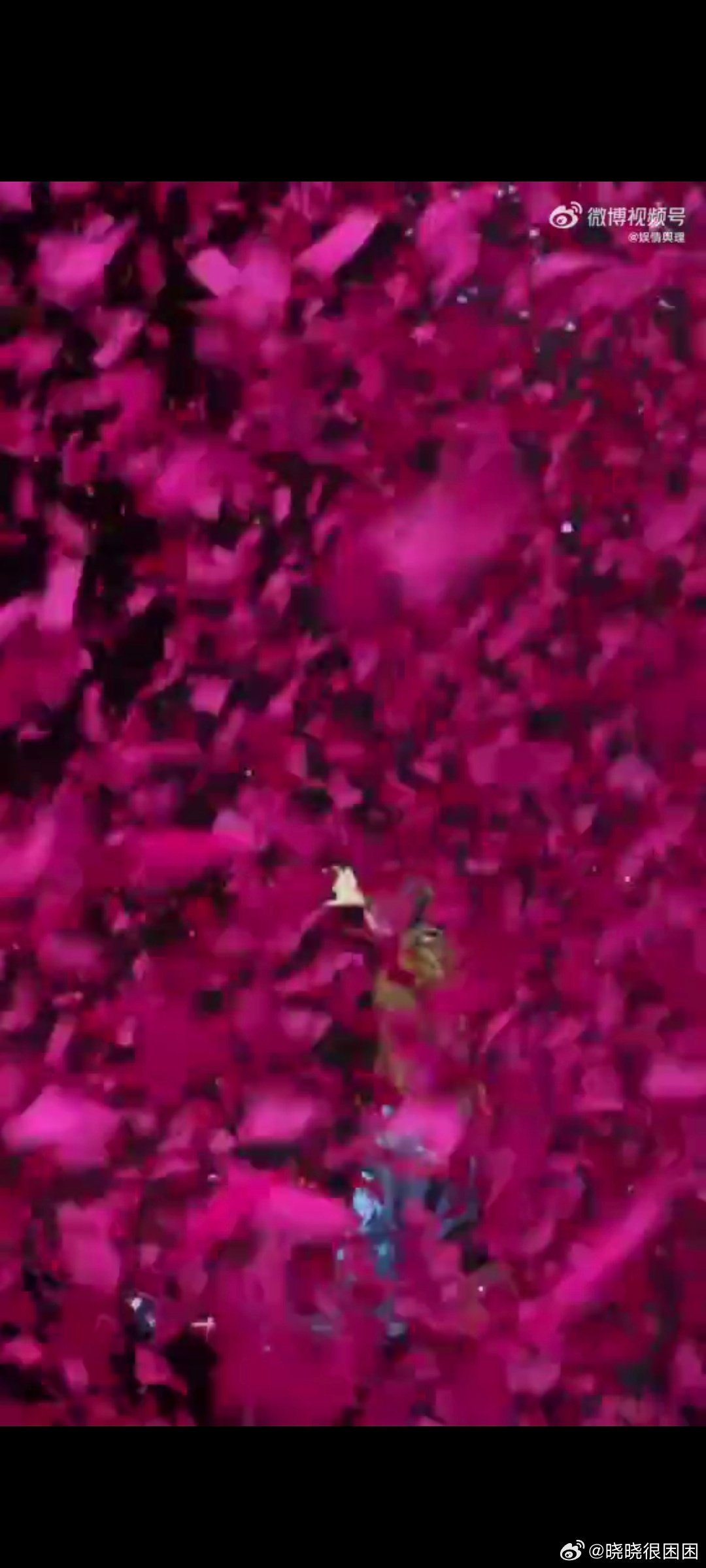 汪苏泷保镖的世界真变成粉红色了谁能想到，彪悍的保镖大哥也有今天，被泷哥的粉海硬核