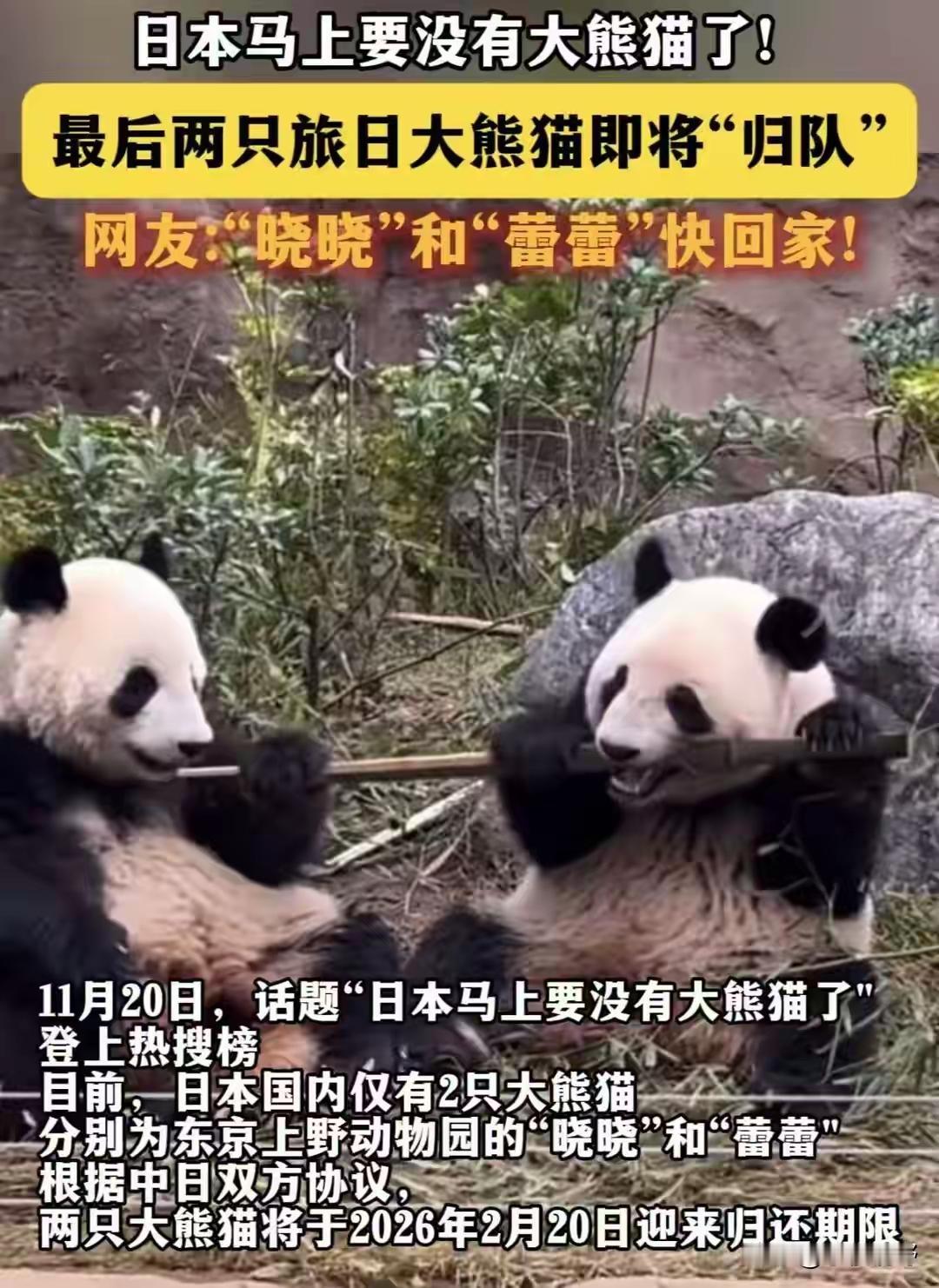 人生如行走在漫长的修行之路上，健康便是那一盏明灯，指引我们走过风雨坎坷。有人说：