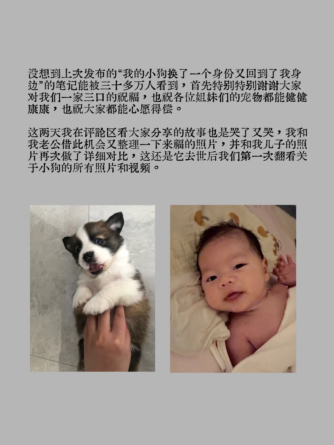 🐶我的小狗换了一个身份又回到了我身边（二）