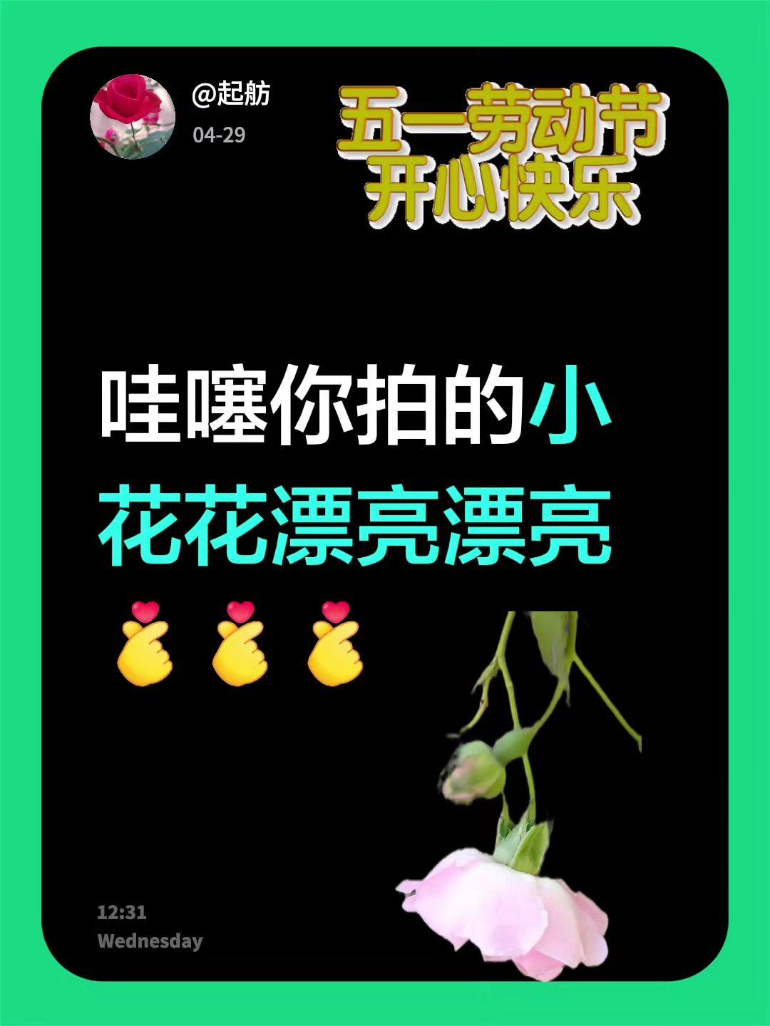我回复了@Sjp 的评论：
哇噻你拍的小花花漂亮漂亮