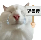 现在处于一个又激动又羡慕的状态 