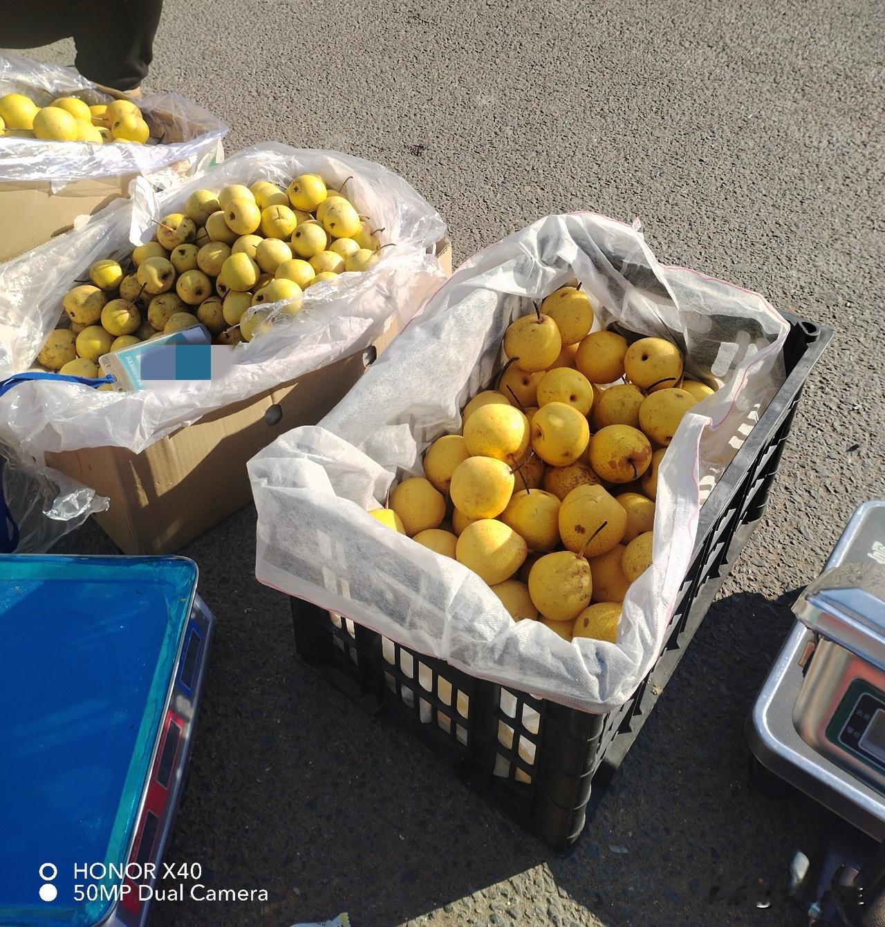 今天我自己做主，睡到七点半才醒，这样的日子真的很幸福，好久没有深度睡眠了，这种感