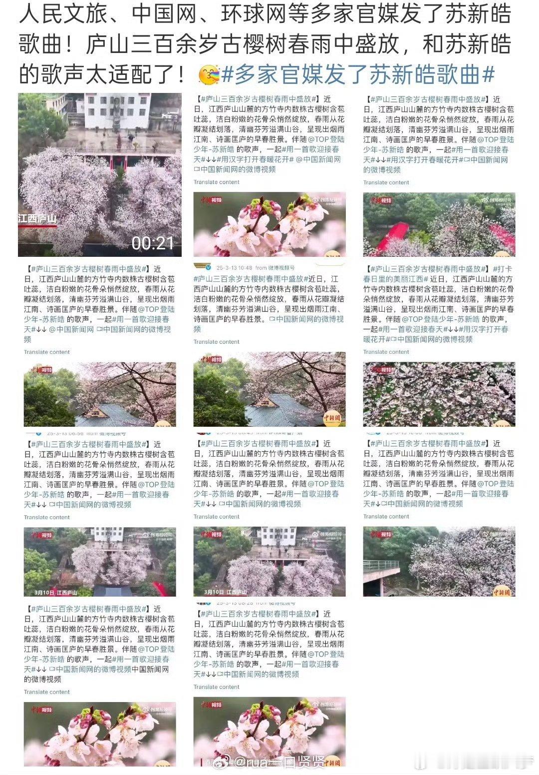 苏新皓歌曲和庐山樱花好适配谁懂！听到苏新皓唱歌，就像一头栽进春天里，每一句都元气