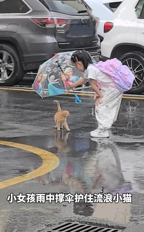 暖心一幕。湖北襄阳一场雨中，小女孩一个小小的举动，温暖了无数人的心。
 
近日，