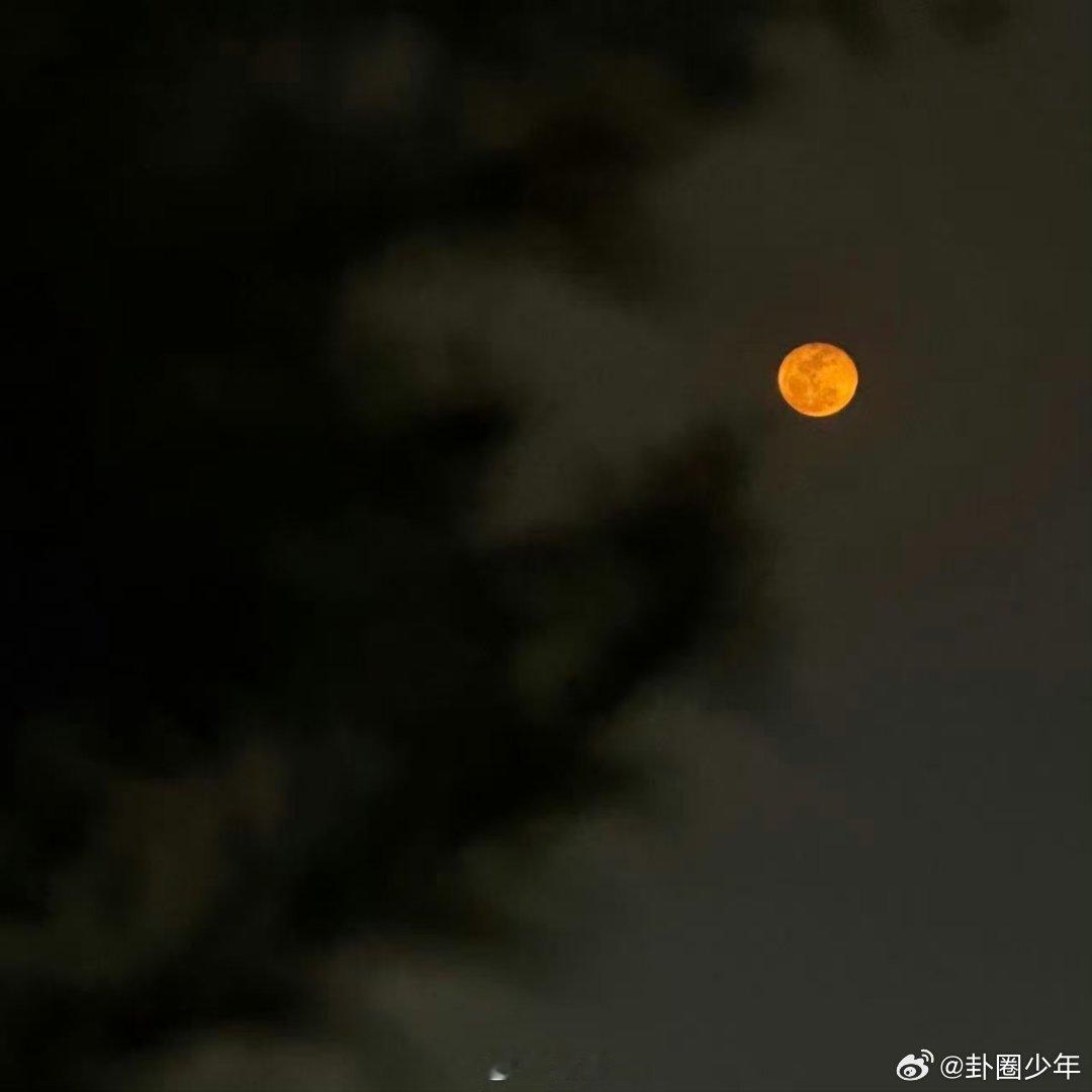 肖战深夜分享日常肖战深夜的惊喜肖战深夜送来专属惊喜，细碎日常里藏着最动人的温柔与