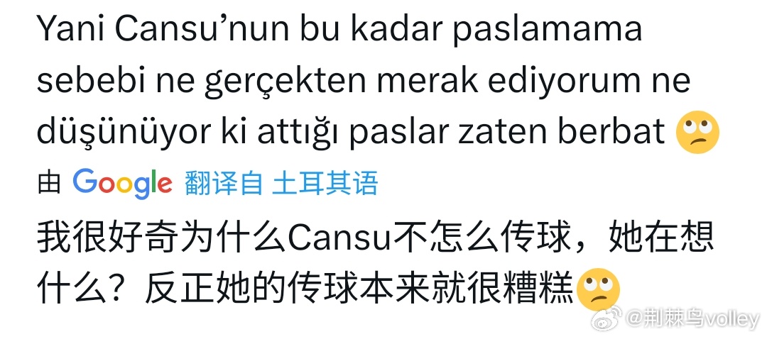 外网球迷谈博斯科维奇。其实第一个截图的粉丝说的很好。女排女排欧冠