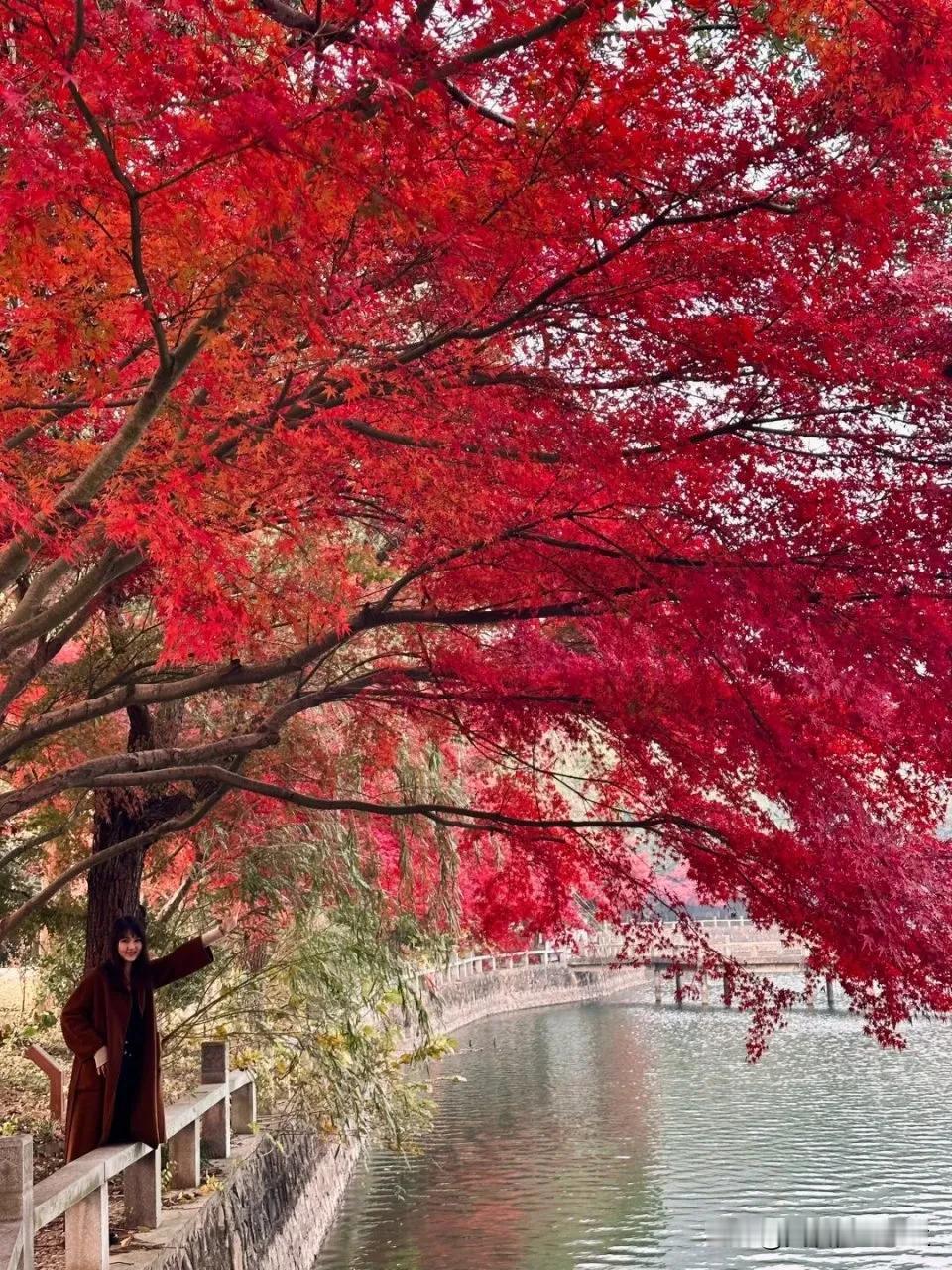 如果出现下降箭头，就变成绿色啦！那就不是好事了，要么扣钱，要么扣信用积分。

但
