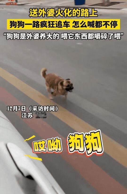 让人泪目！江苏某县，王女士一家正忙着送去世的外婆最后一程。灵车刚刚发动，养了多年