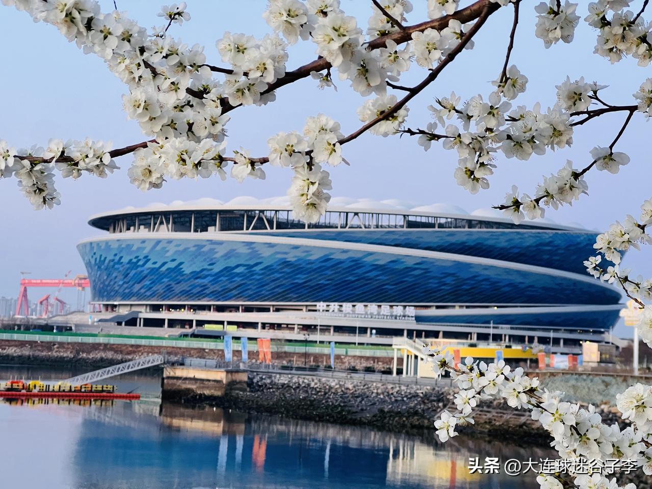 最美梭鱼湾足球场
​早安 15.16公里～ﾉ☀🏃
 中升梭鱼湾球场