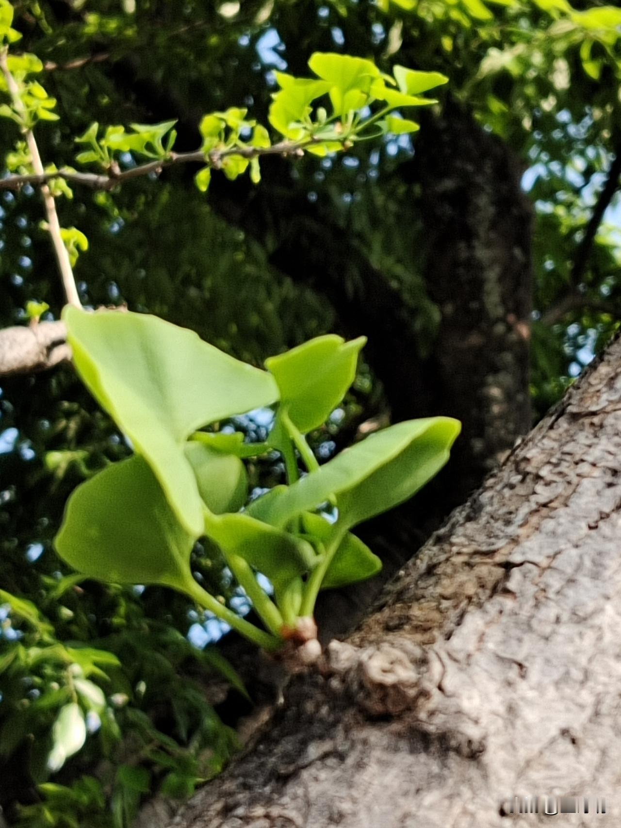 幸福的人有这5个特征
一、性格大大咧咧，不计较小事小钱，有多少吃多少，不贪多，不