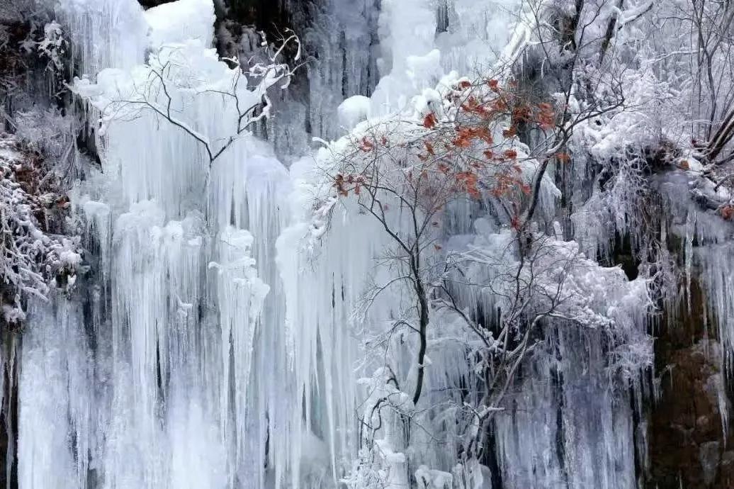 【爱情常常使人哭泣，痛苦常常催人诉说】
        爱情这东西，真像一杯浓烈