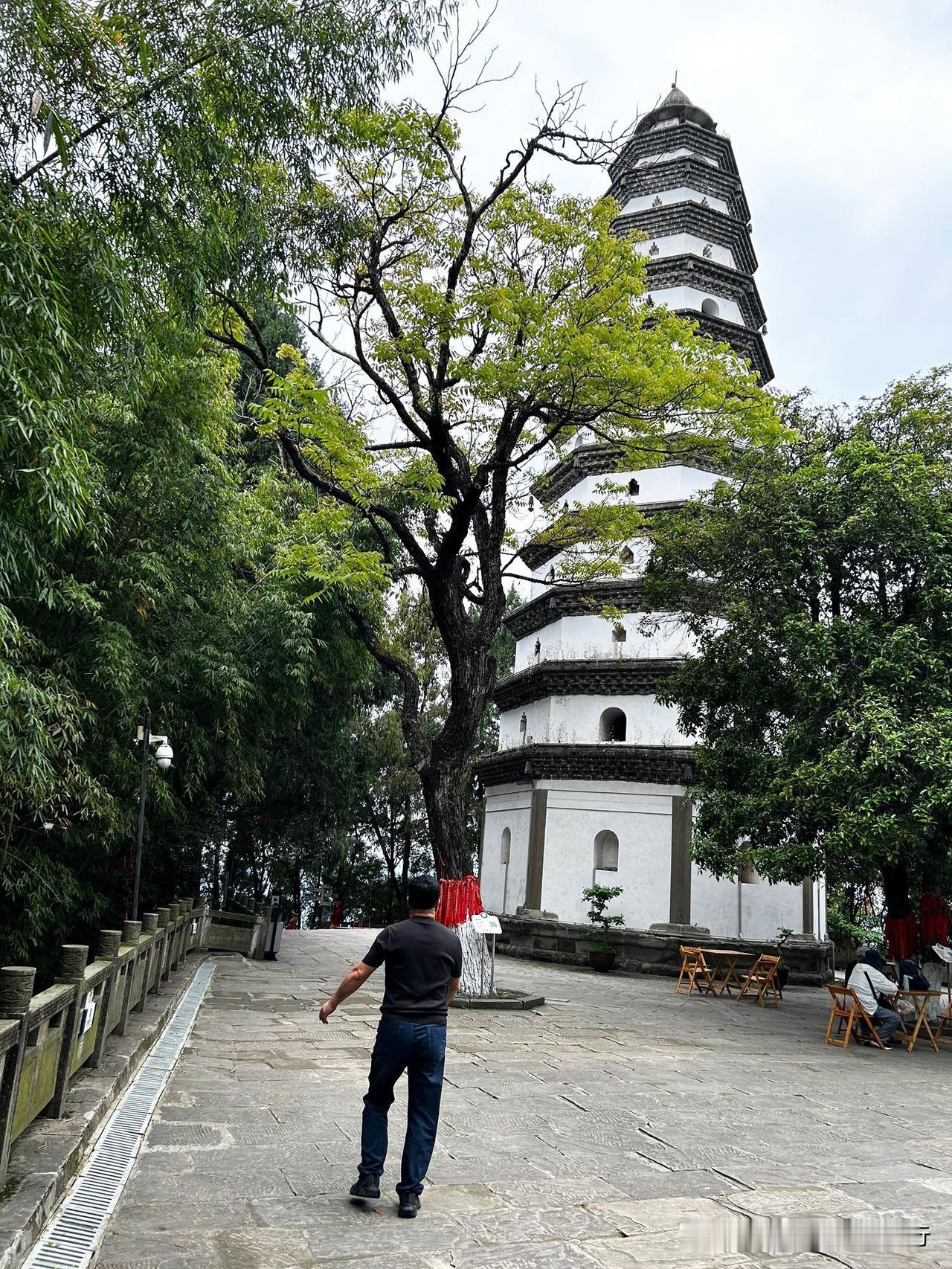 我以为阆中只有古城、只有张飞庙、只有张飞牛肉，其实，嘉陵江的旅游风景区才是阆中的