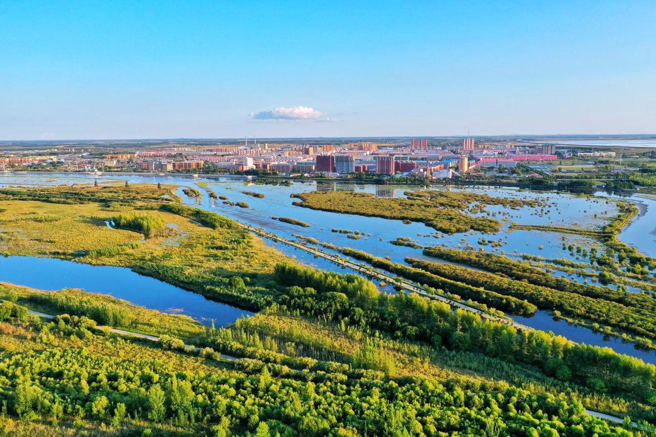 镜头里的“十四五”·边城｜同江：边疆沃野展新卷