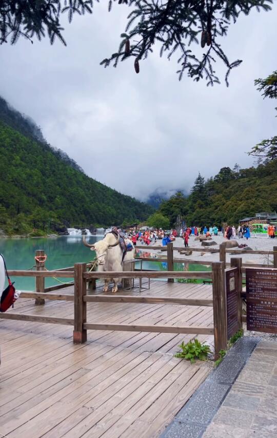 玉龙雪山7月1号实况，清爽小雨