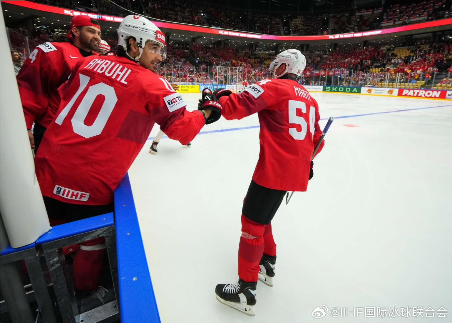 IIHF说明书 🇨🇭克里斯蒂安·马蒂 (Christian Marti)出生