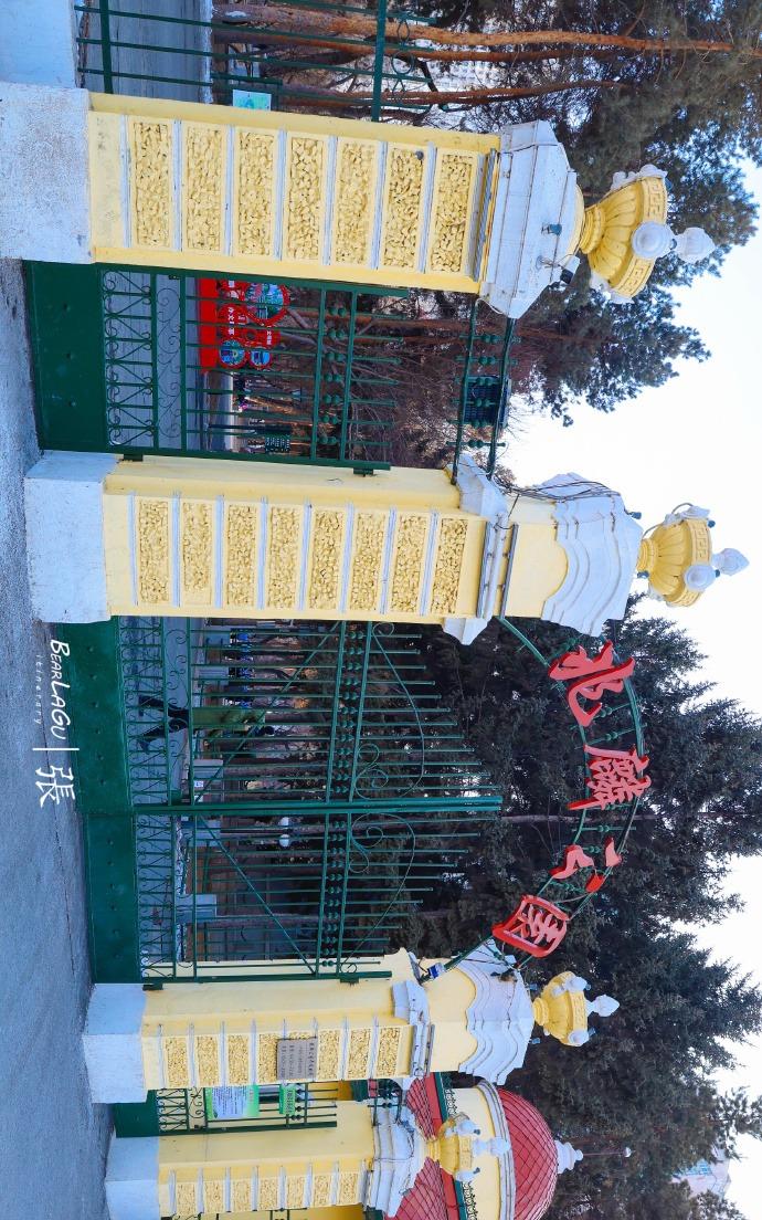 在兆麟公园偶遇学生，纪念逝世 80 周年，感触良多。金黄闪闪的落日余晖洒在哈尔滨