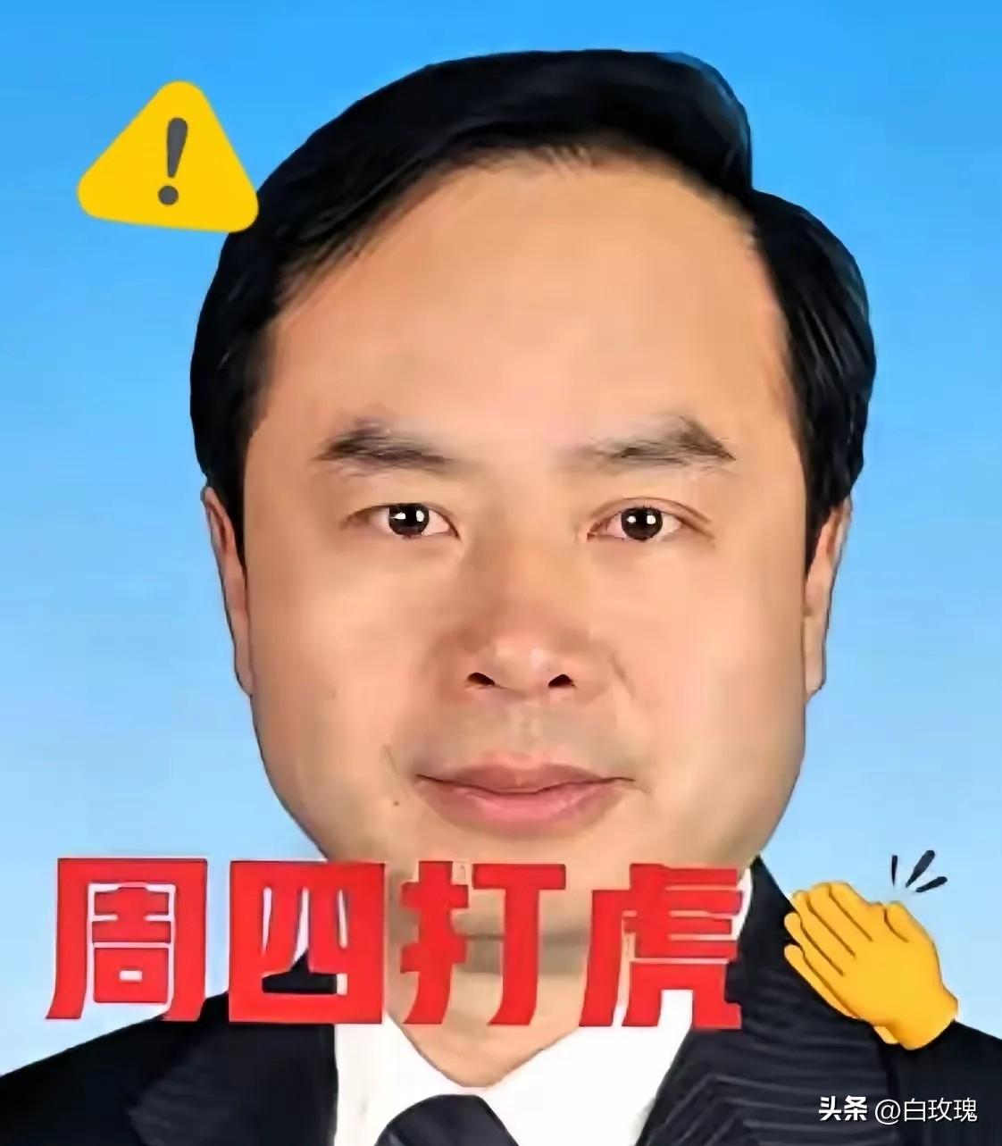 就在刚刚，又一位退休高官落马，彻底打破很多人的幻想！
64岁王奇被查，履历亮眼到