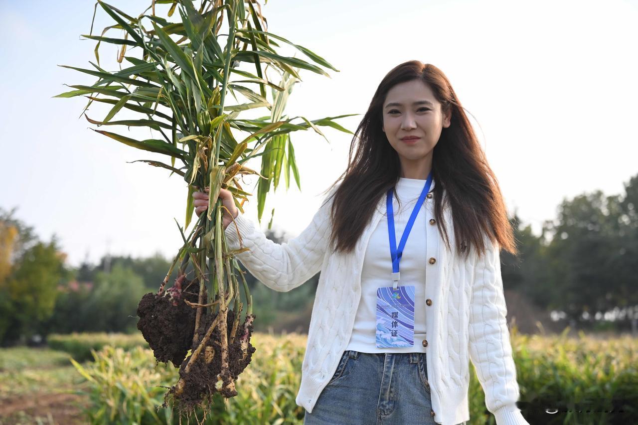 潍坊私藏的「硒」望田园！瑞合春的治愈感早已满格[给力]

谁说潍坊的名片只有风筝