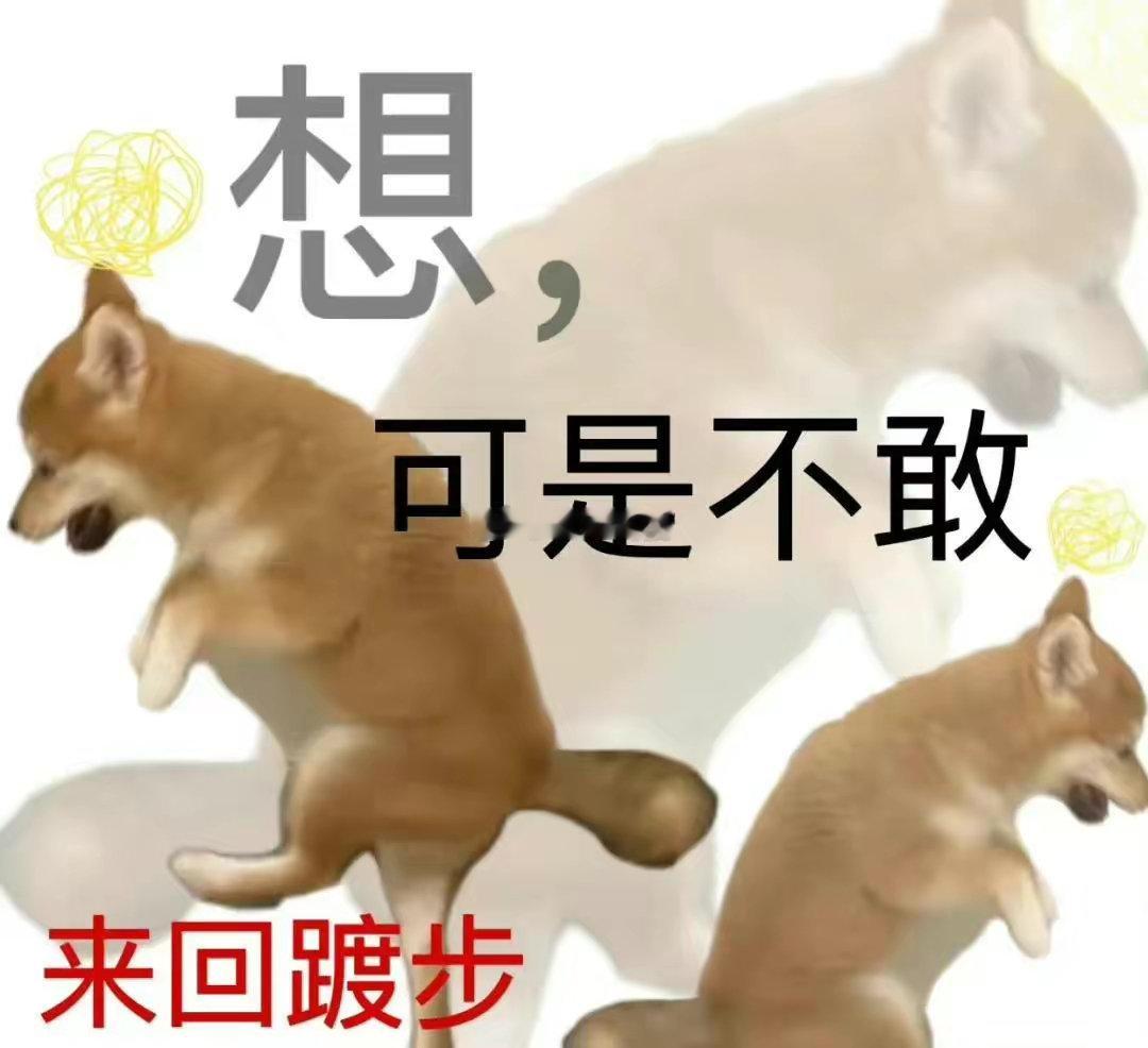 巨蟹座温和又真诚，细心的关照着身边的每个人。他们习惯性的时刻为身边人考虑，总是体