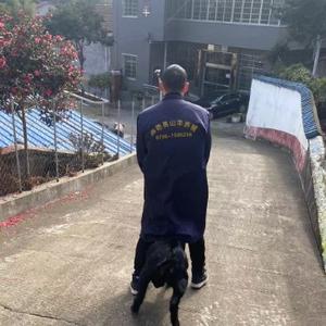 伟艳黑山羊养殖