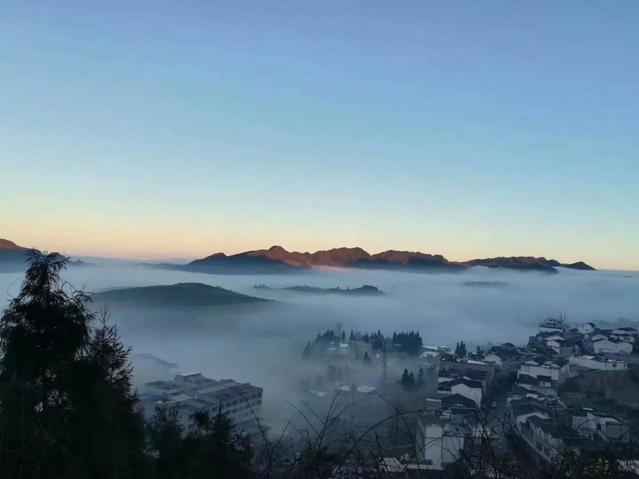 网传少林寺方丈释永信被带走调查如果消息属实，那是大快人心之事！相关部门还应该查一
