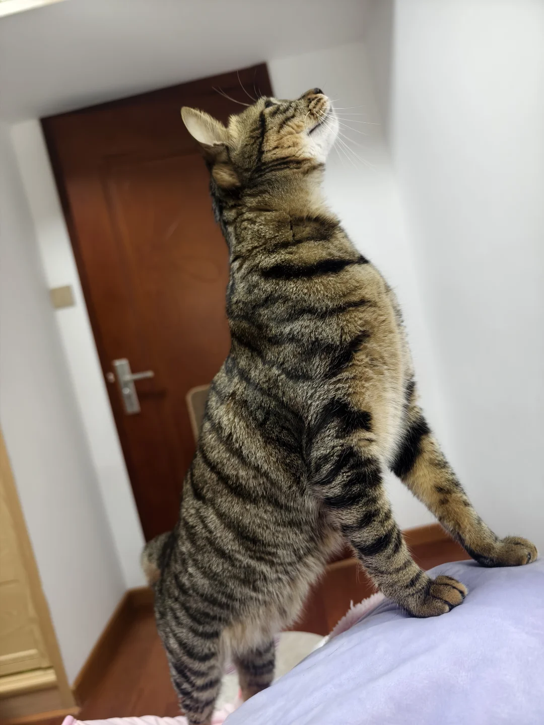 每次科长不在办公室，我就忙得要死，县里叽里咕噜一个电话接一个电话打，问新政策、找