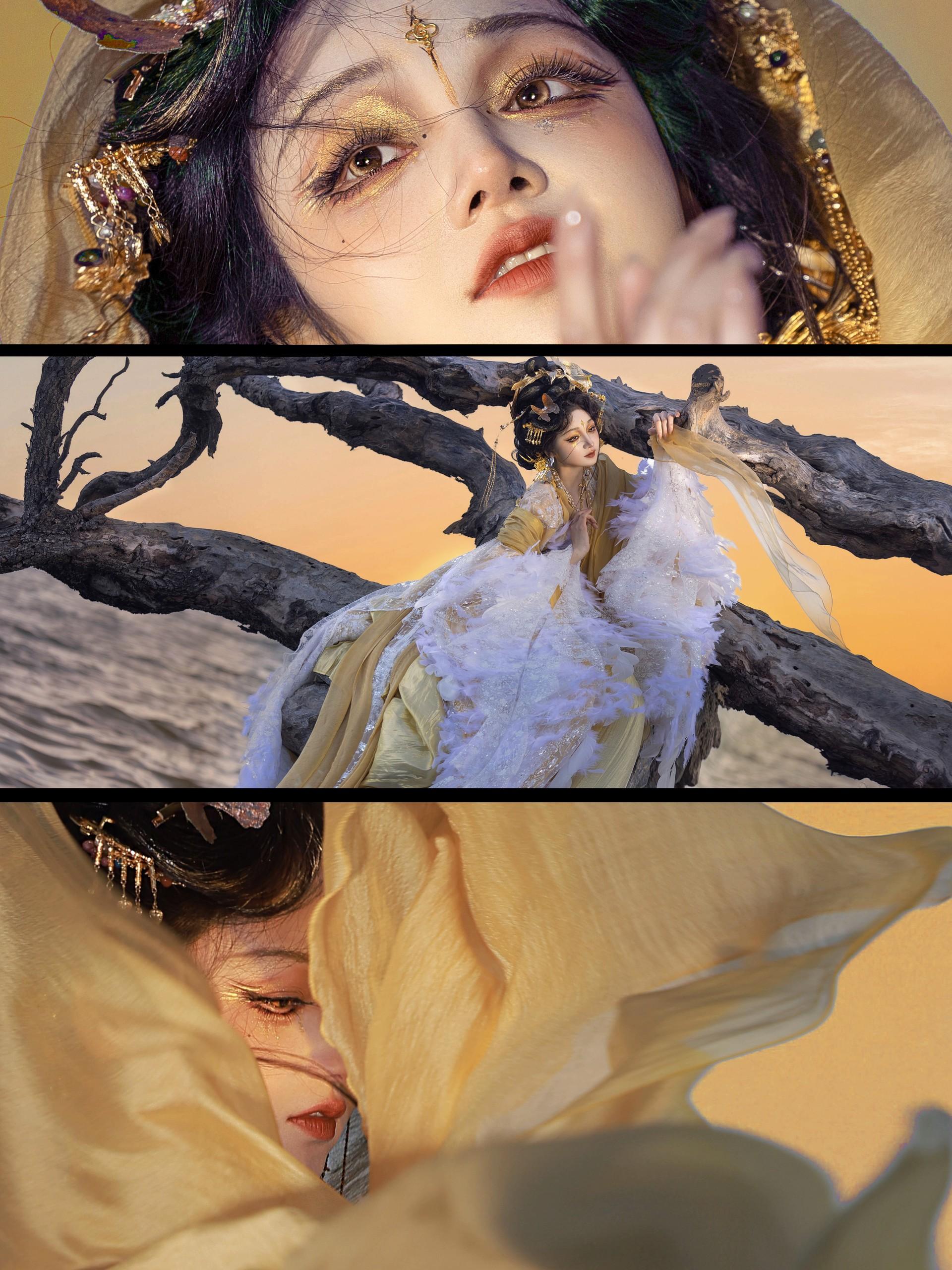 ‘ 古有金乌、踏日而来 ’。在大理拍到了喜欢的大金鸟～