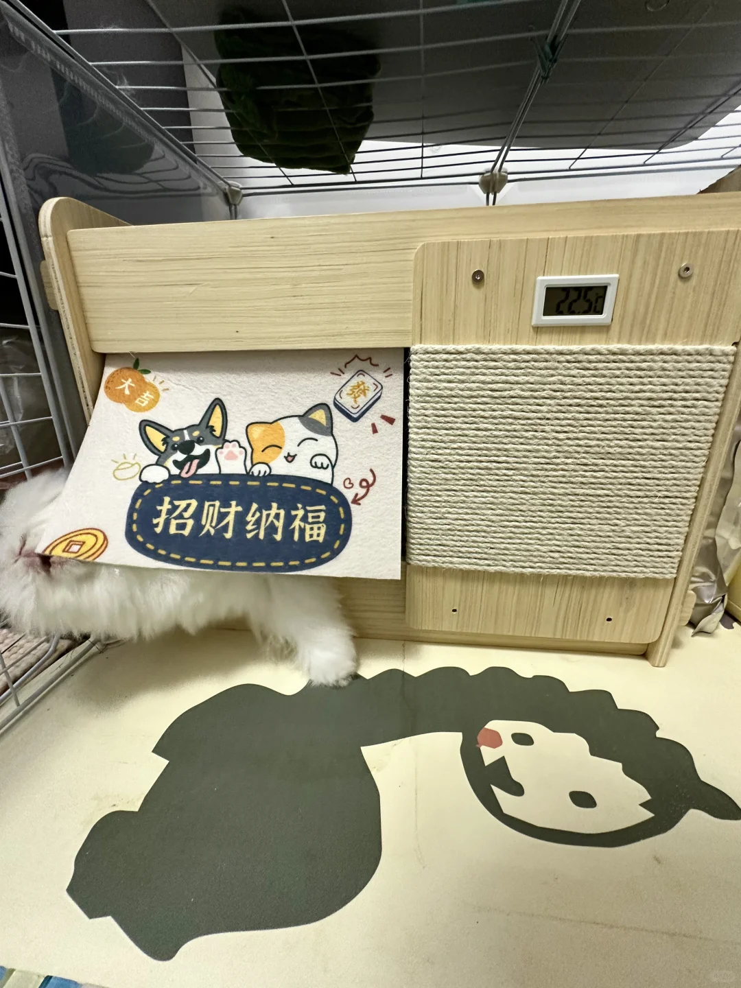 胖宝宝专属空调屋（非广！