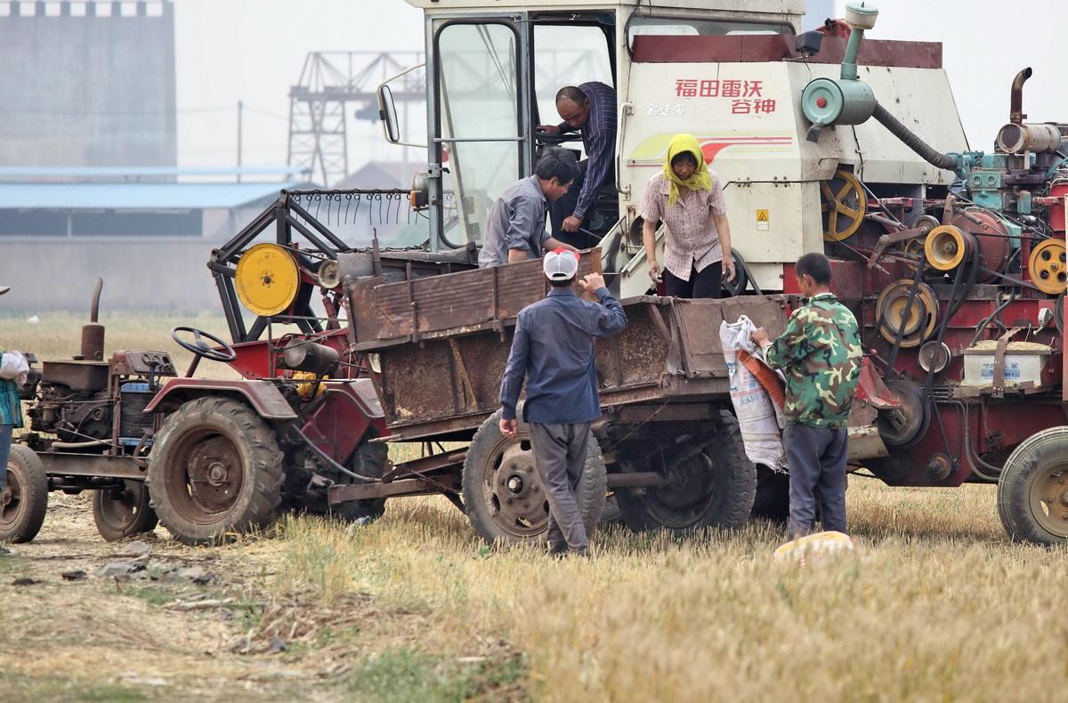 农民也要考证啦！
对，你没看错！是真的！

据新华社，辽宁省发布了《辽宁省新型职