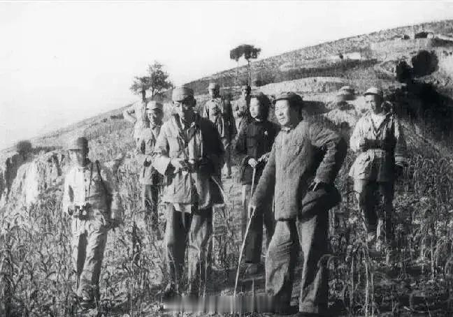 导师在转战路上旁边是不离不弃的革命战友👍患难见真情说的一点没错在如此艰难的时候