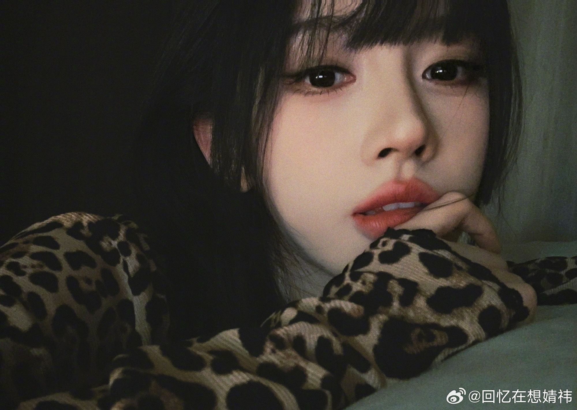 豹纹御姐鞠婧祎