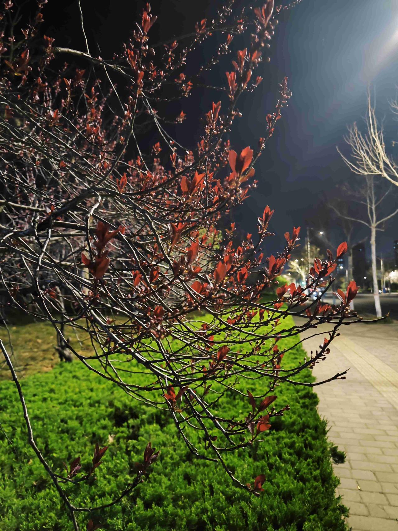 我的今日状态：😁轻松愉快
我这里的天气：☀️晴天
这是昨晚陪二宝出去玩拍的，莫