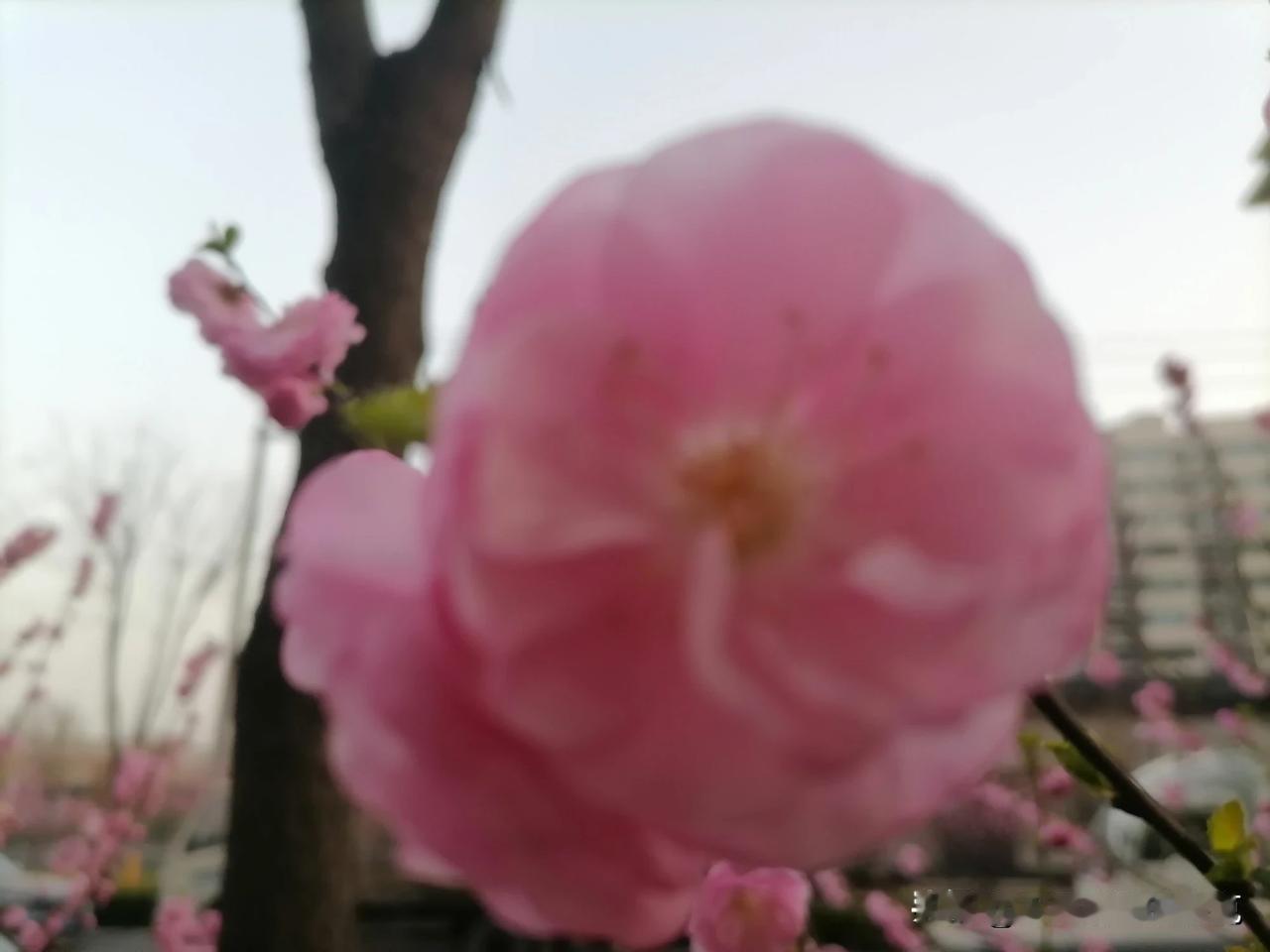 #记录我的2024#
选择很重要！非常重要！特别重要！
五一假期，我选择宅在家里
