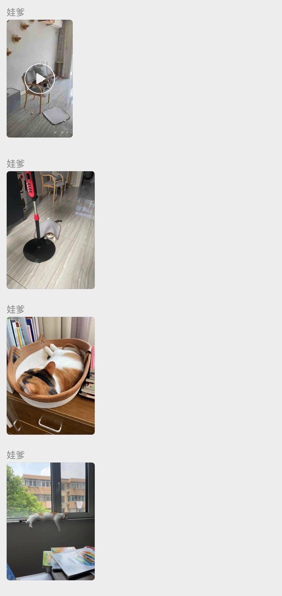 拍猫狂魔 ​​​