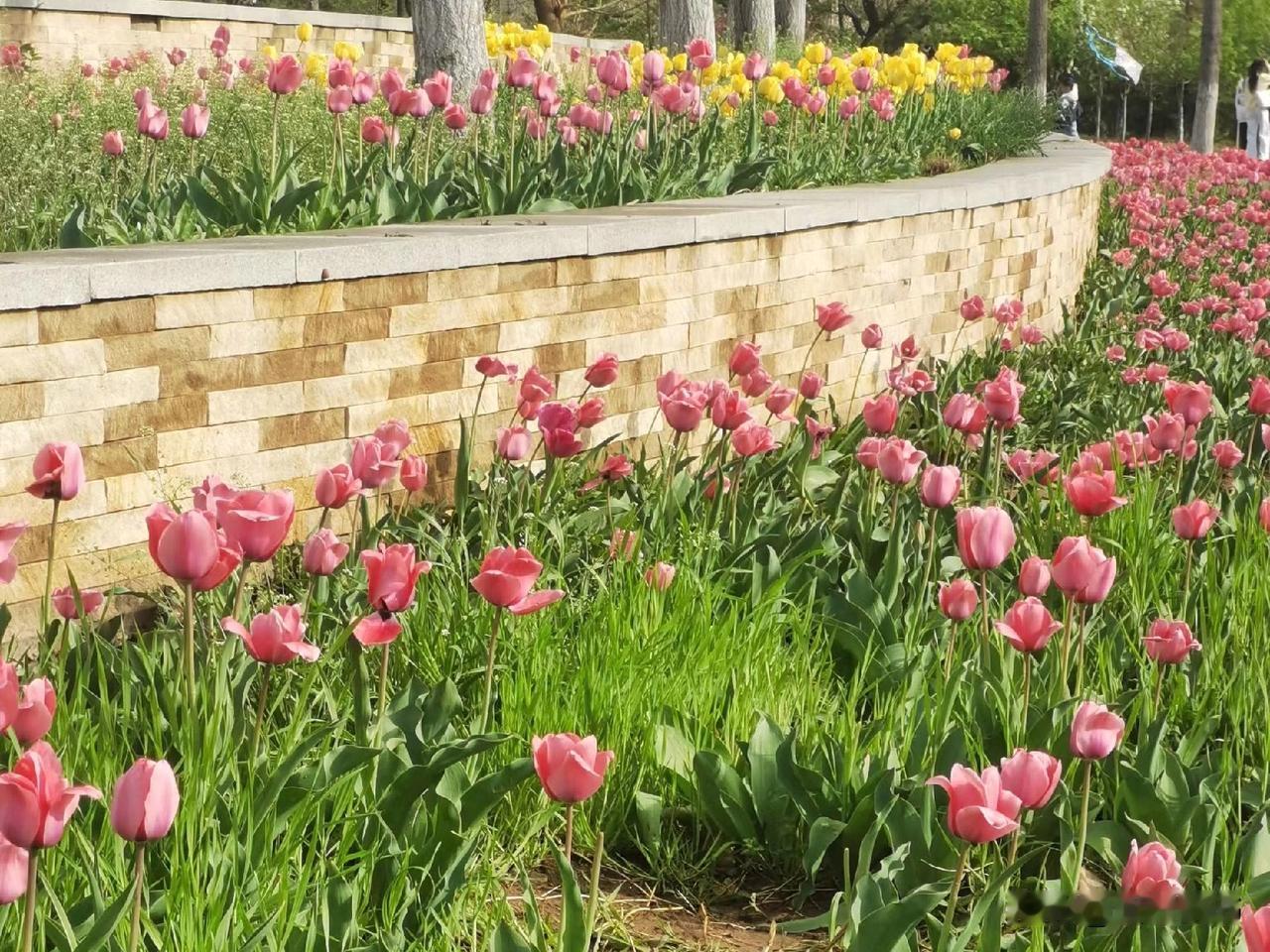 你发现了吗？聪明的婆婆，都是这样做的。
 一， 不插手小两口的家事
小两口吵架不