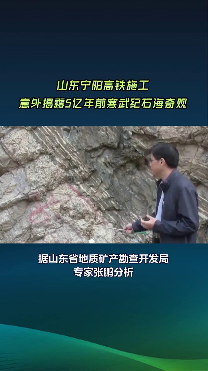 山东宁阳高铁施工，意外揭露5亿年前寒武纪石海奇观。
山东宁阳高铁站施工挖出一片约