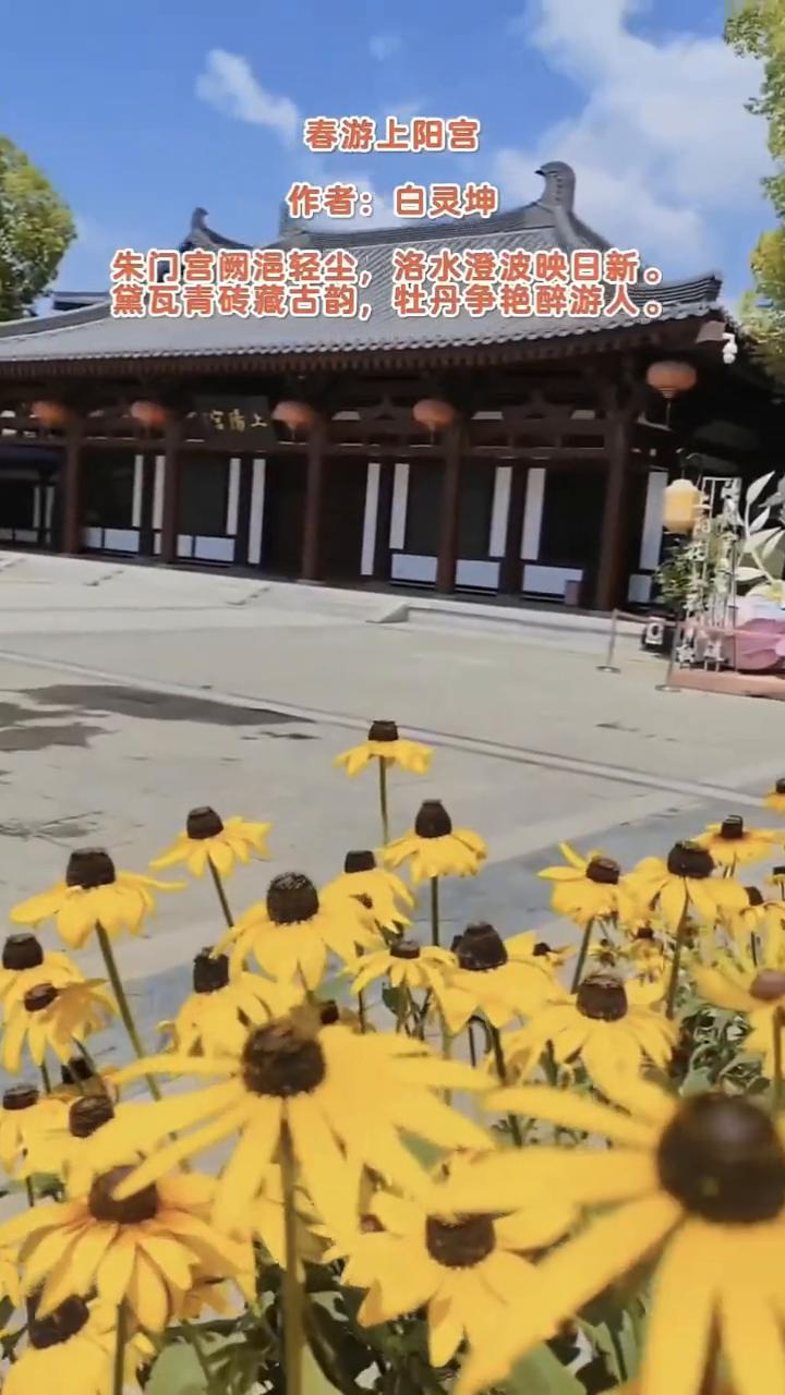 春游上阳宫。
作者：白灵坤。
朱门宫阙浥轻尘，洛水澄波映日新。
黛瓦青砖藏古韵，