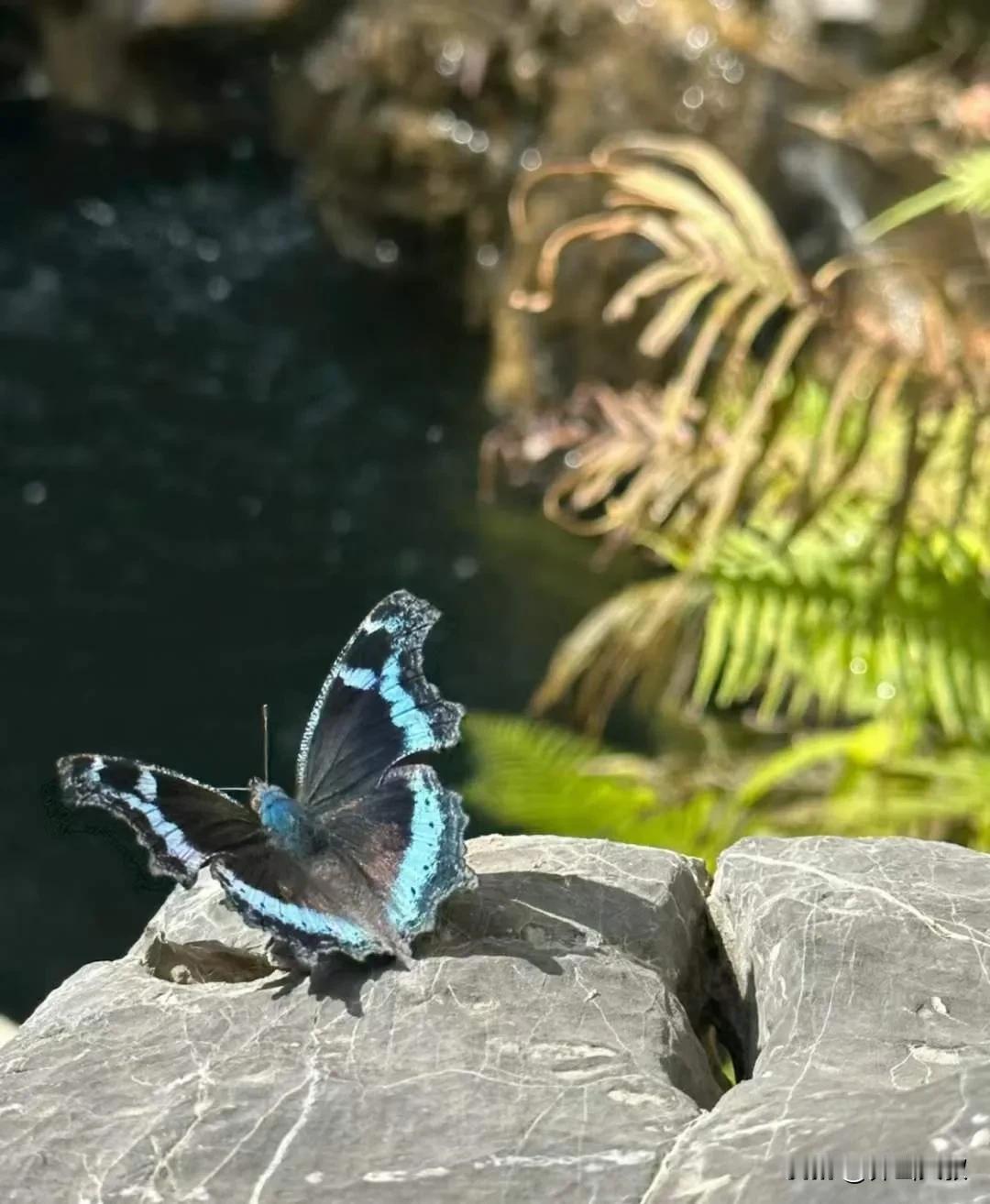 永远不问别人原因，记住,人越聪明，话越少，威严就越盛，能量场就越强，金钱也就越多