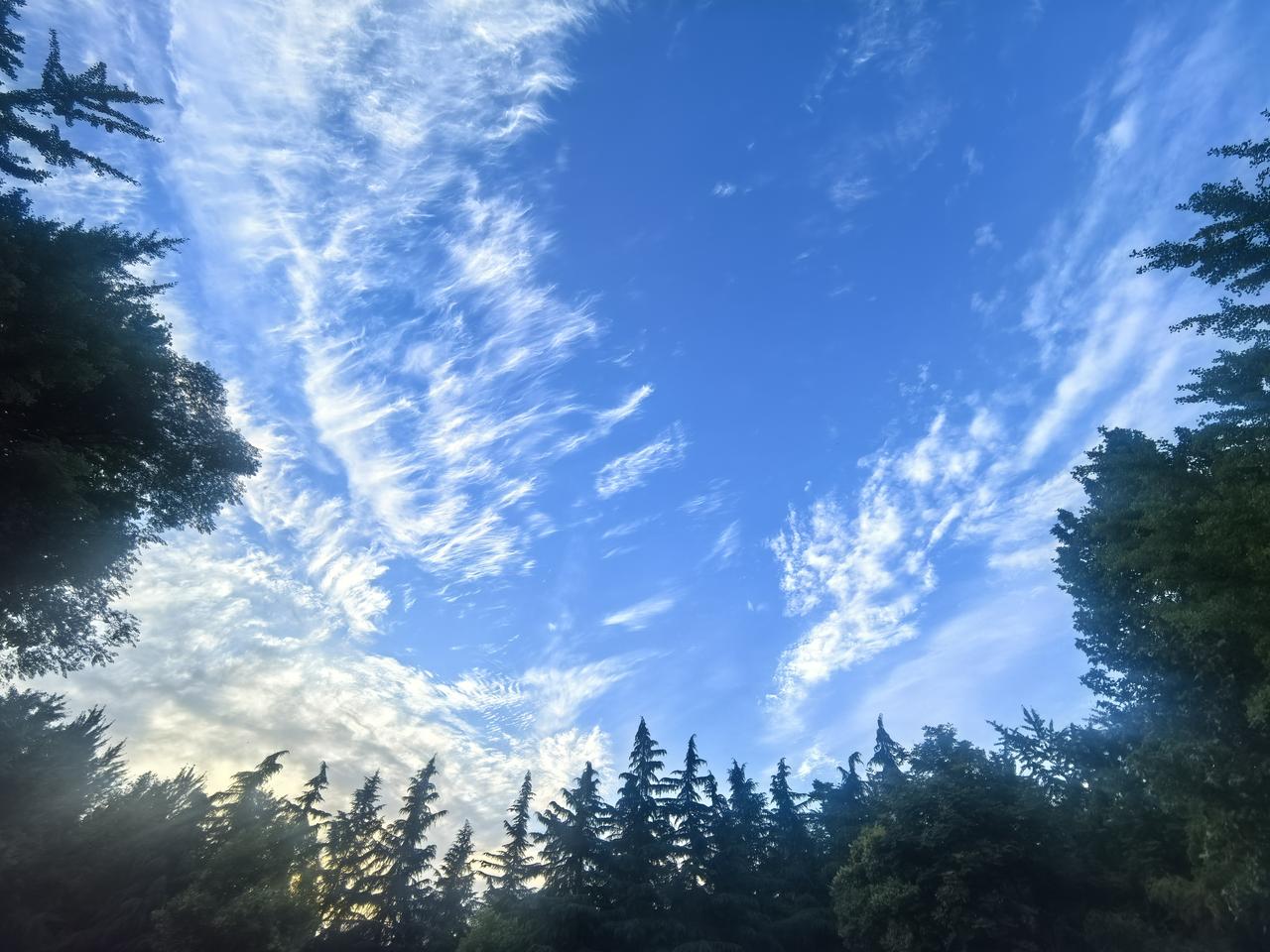 又见蓝天白云

[玫瑰][心][玫瑰]

最近，西安一直阴雨连绵，心情都跟着潮湿