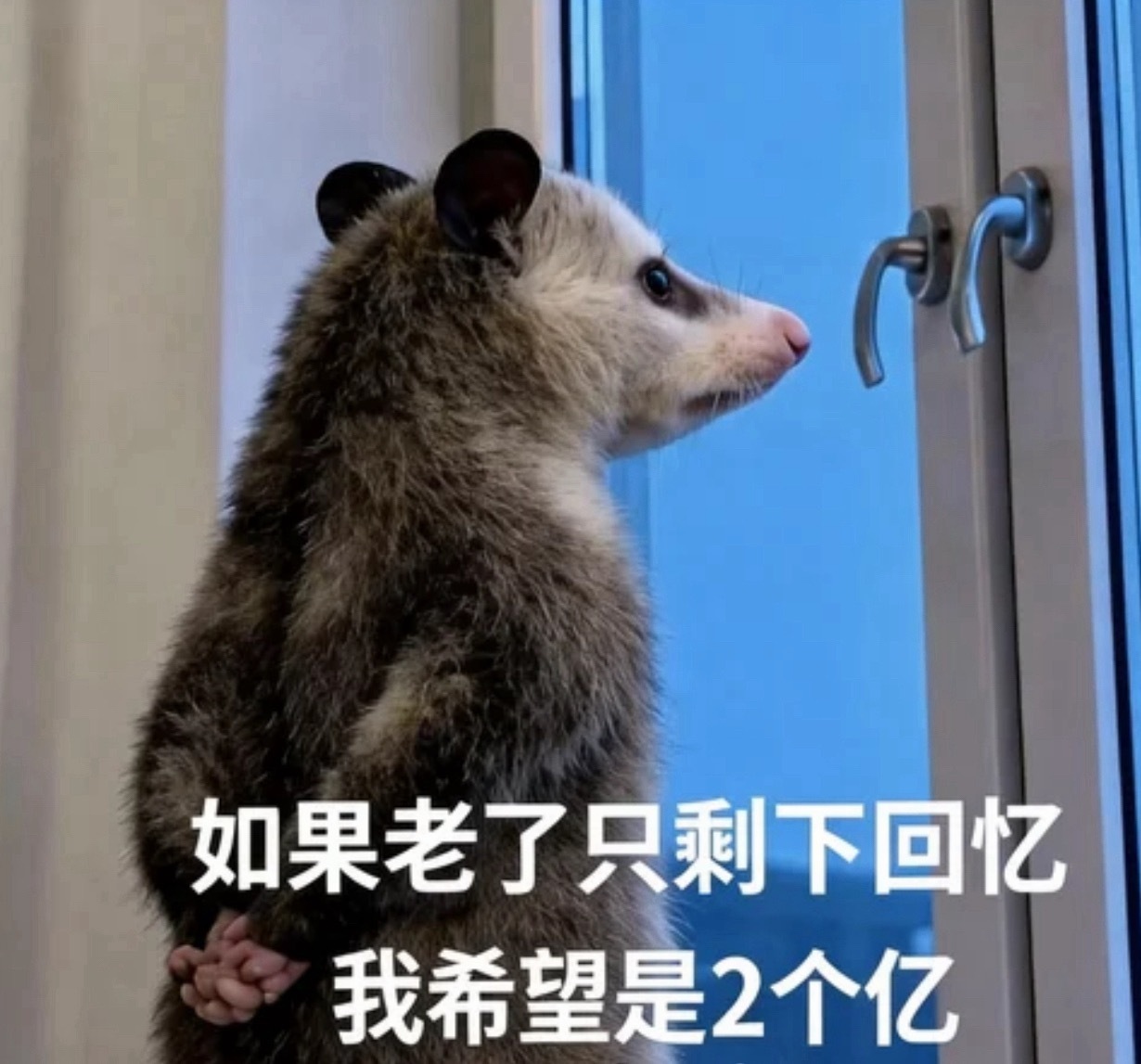 哈哈哈哈哈～没想到我的舒适区是打麻将果然科学的尽头是玄学还在新手保护期的我，呼风