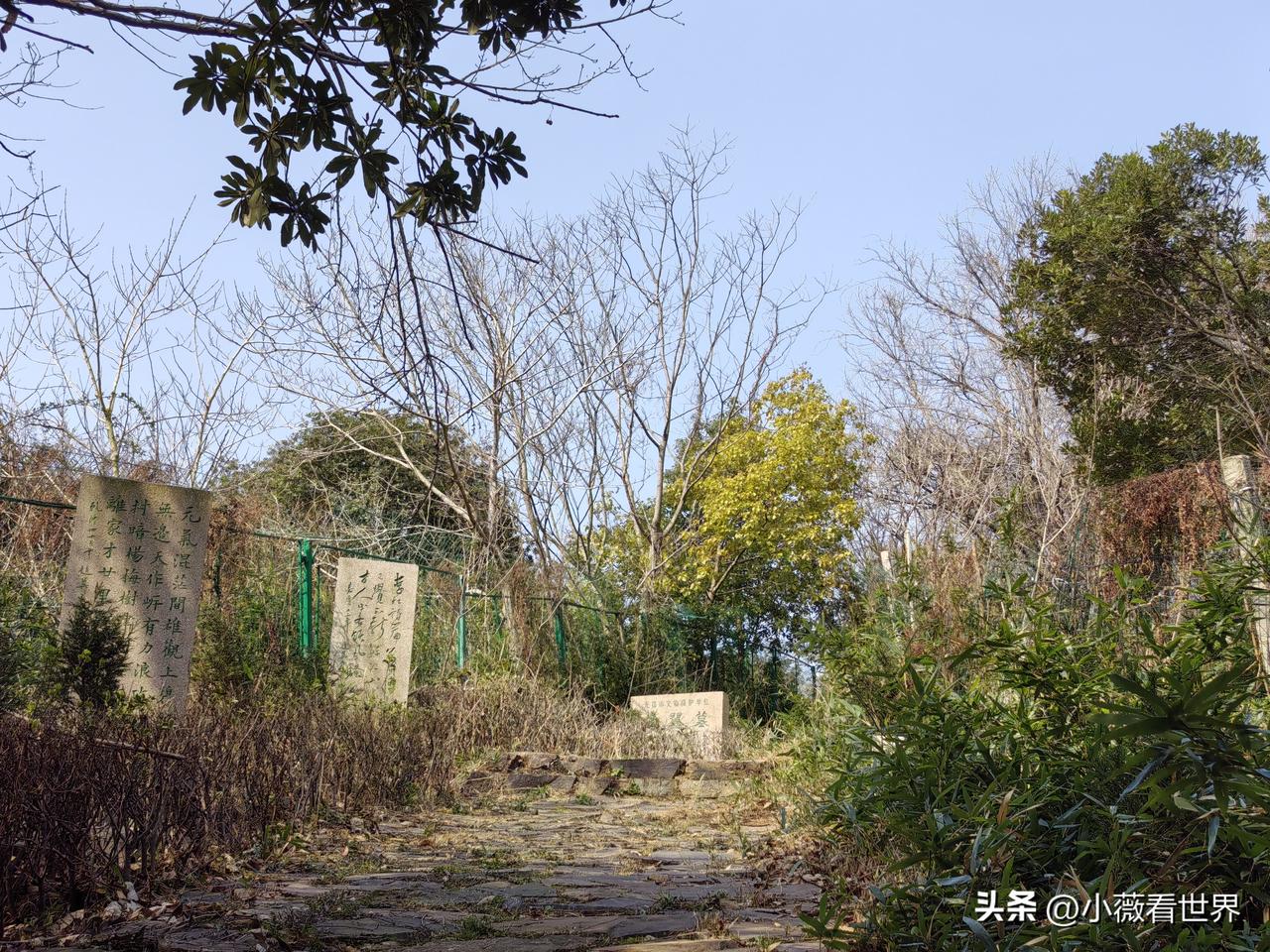 也是机缘巧合，趁今天这个大晴天，我们在马山拜谒了大文豪赵翼的墓地。

赵翼？对！