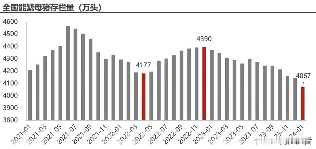 2024年一月份全国能繁母猪存栏量在4067万头，已底于2022年五月份的存栏量