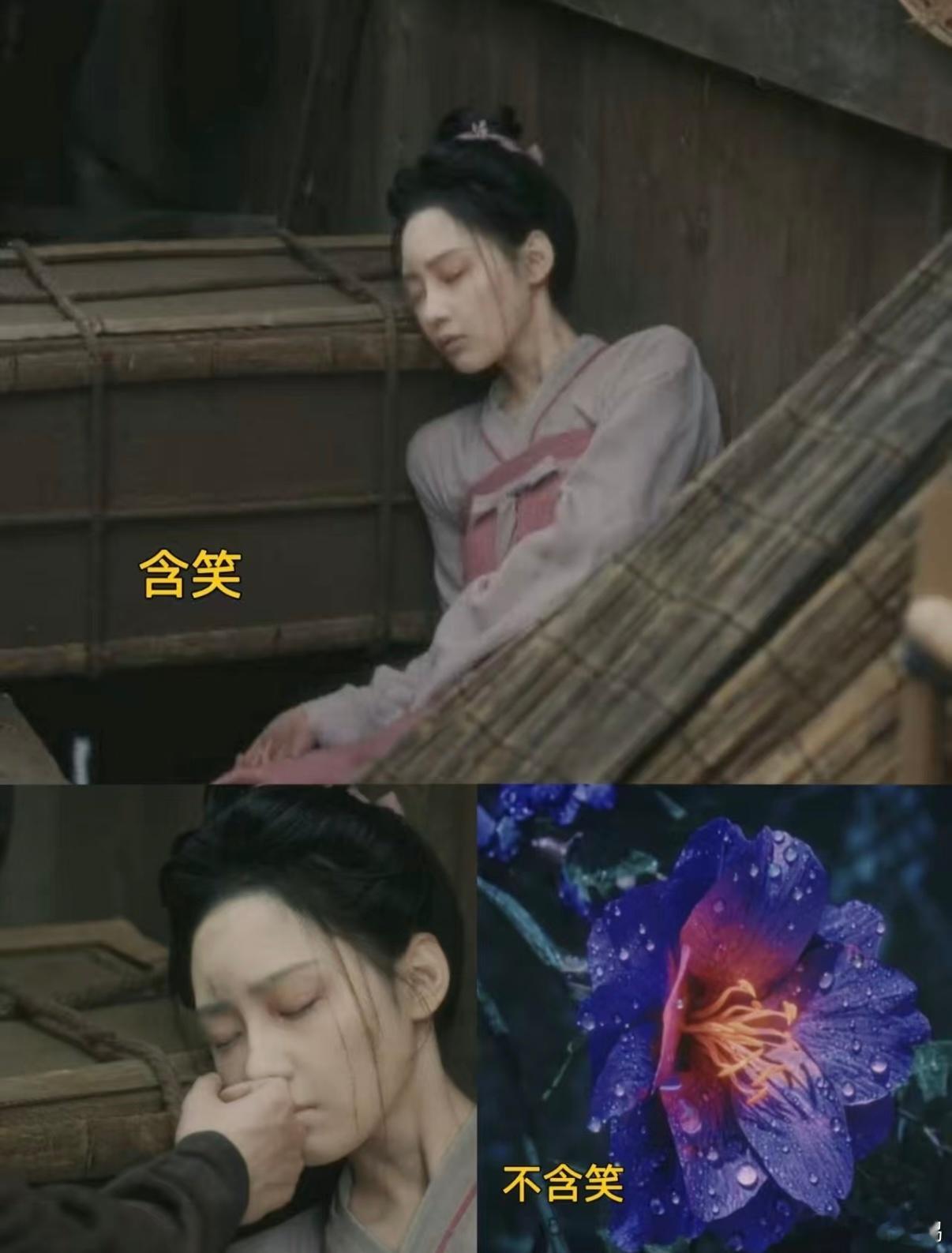 唐宫奇案神级隐喻 中式隐喻 + 盛唐悬疑真的绝配🌸！《唐宫奇案》把氛围感和故事