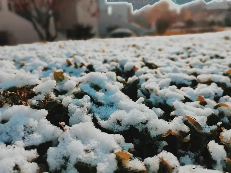 多地宣布中小学放雪假 最近多地宣布中小学放雪假，真是让学生们乐开了花，也让不少打