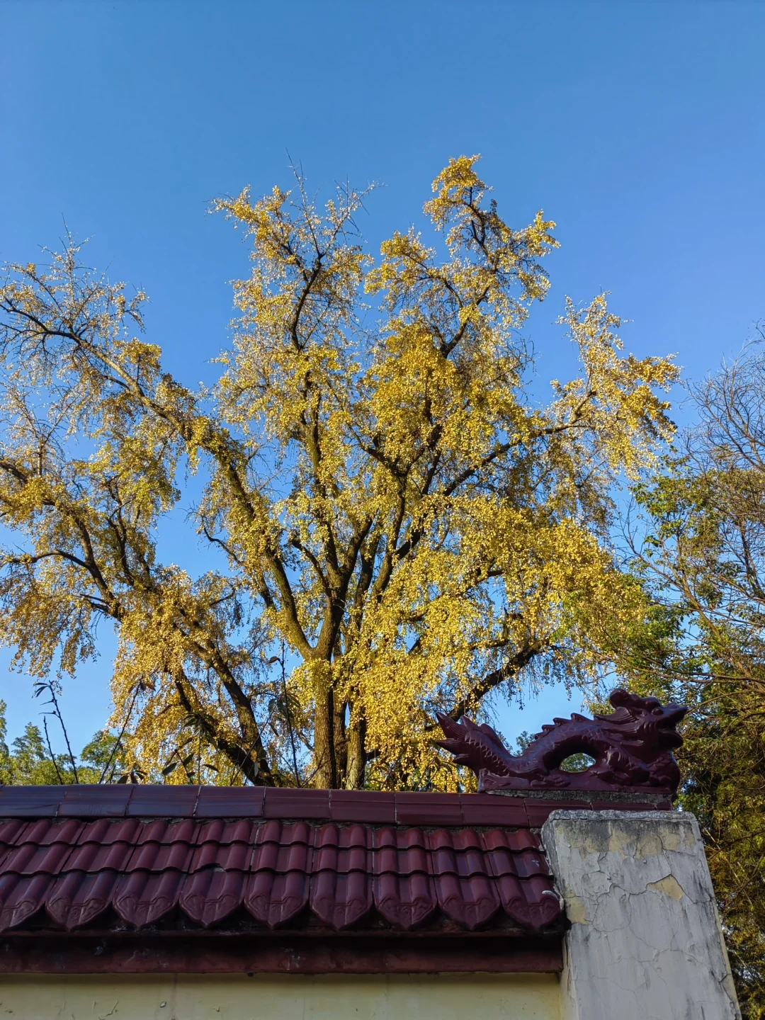 记录生活|周末走一走，不辜负冬日的暖阳。