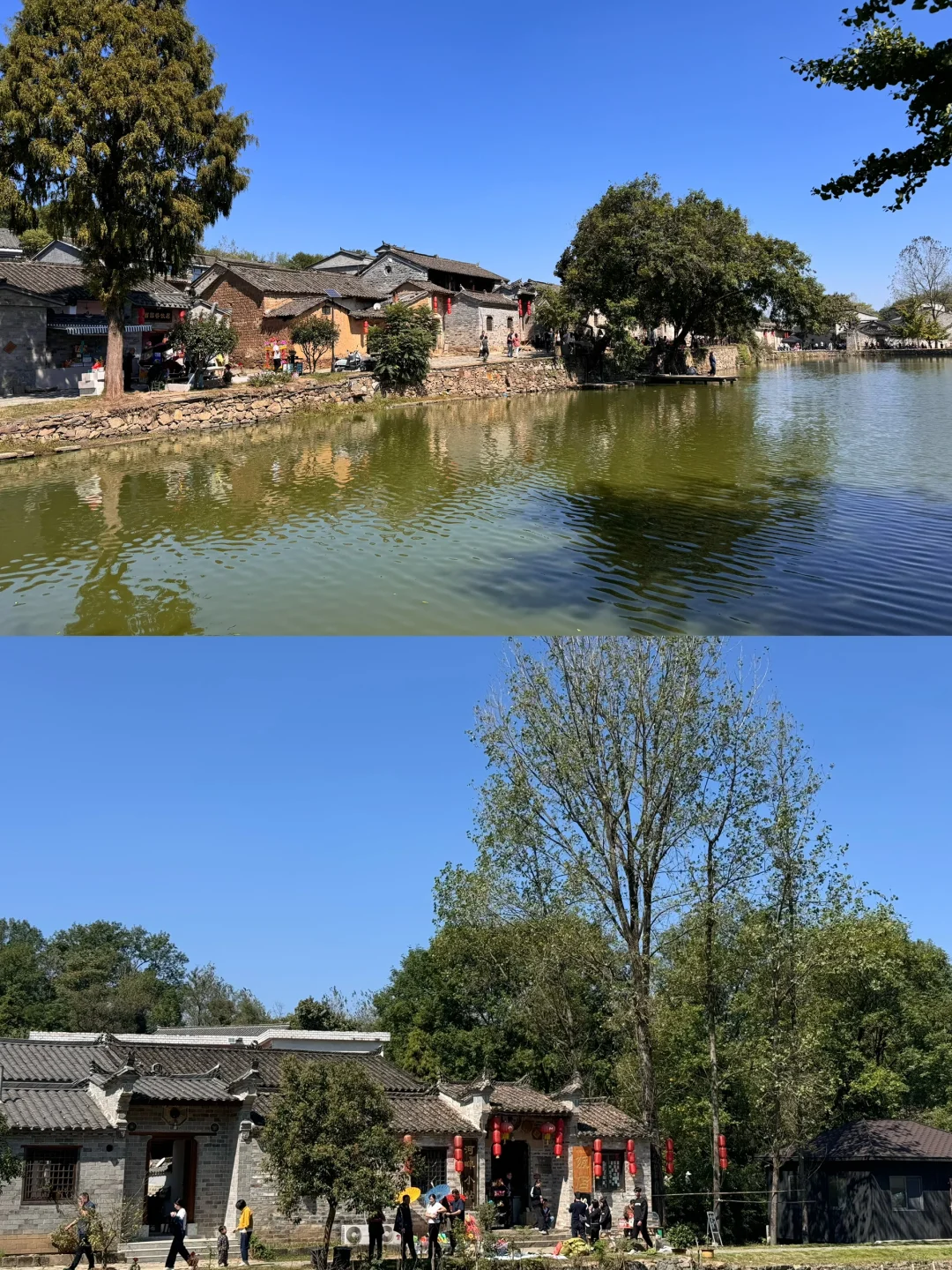 信阳，我愿意二刷的城市‼️太适合遛娃了😎