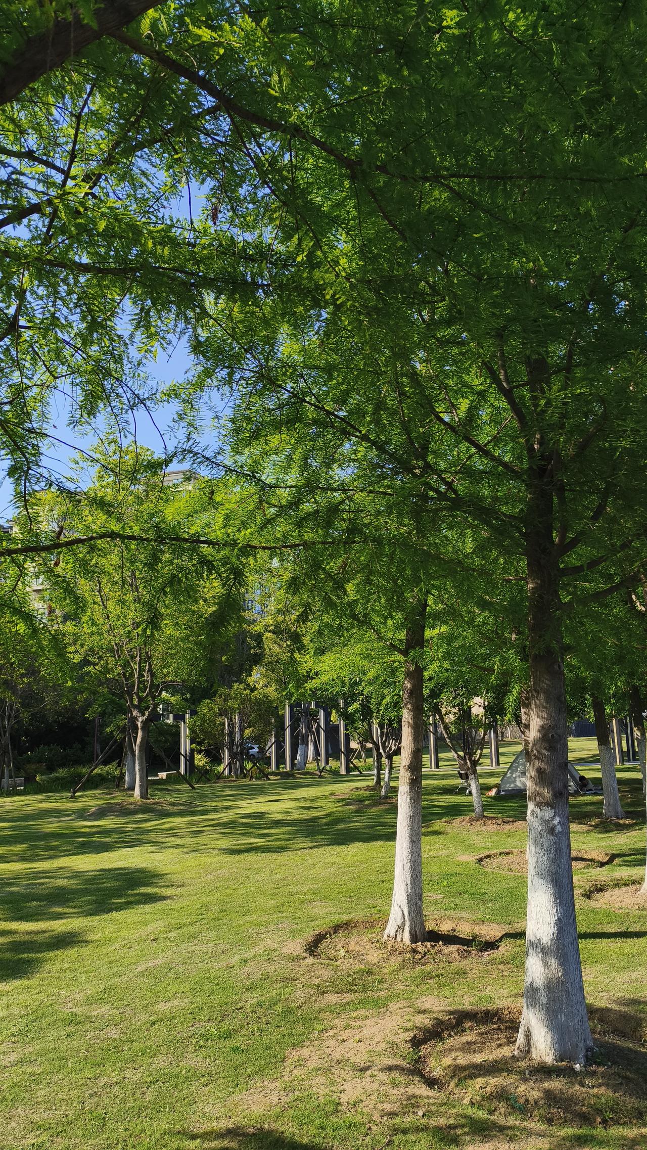 我认为不值得五一去热门景区，我觉得真心不值得。就拿故宫来说，五一期间每天游客量能