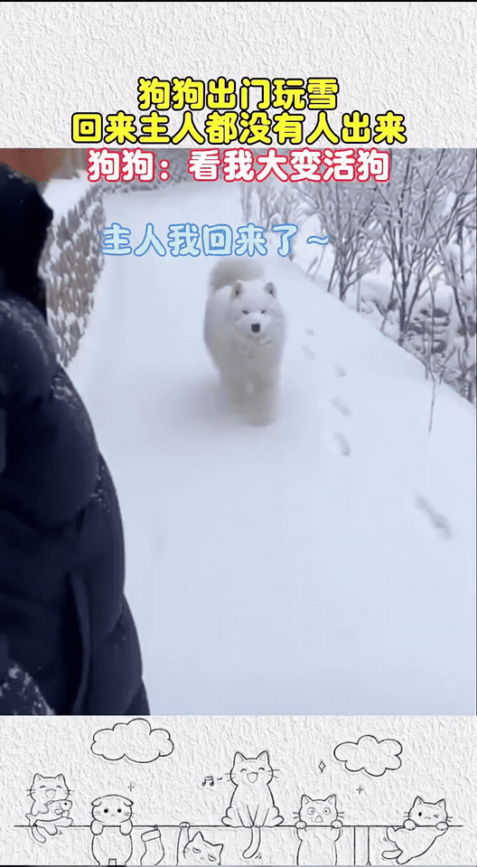 看我大变活狗[震惊]