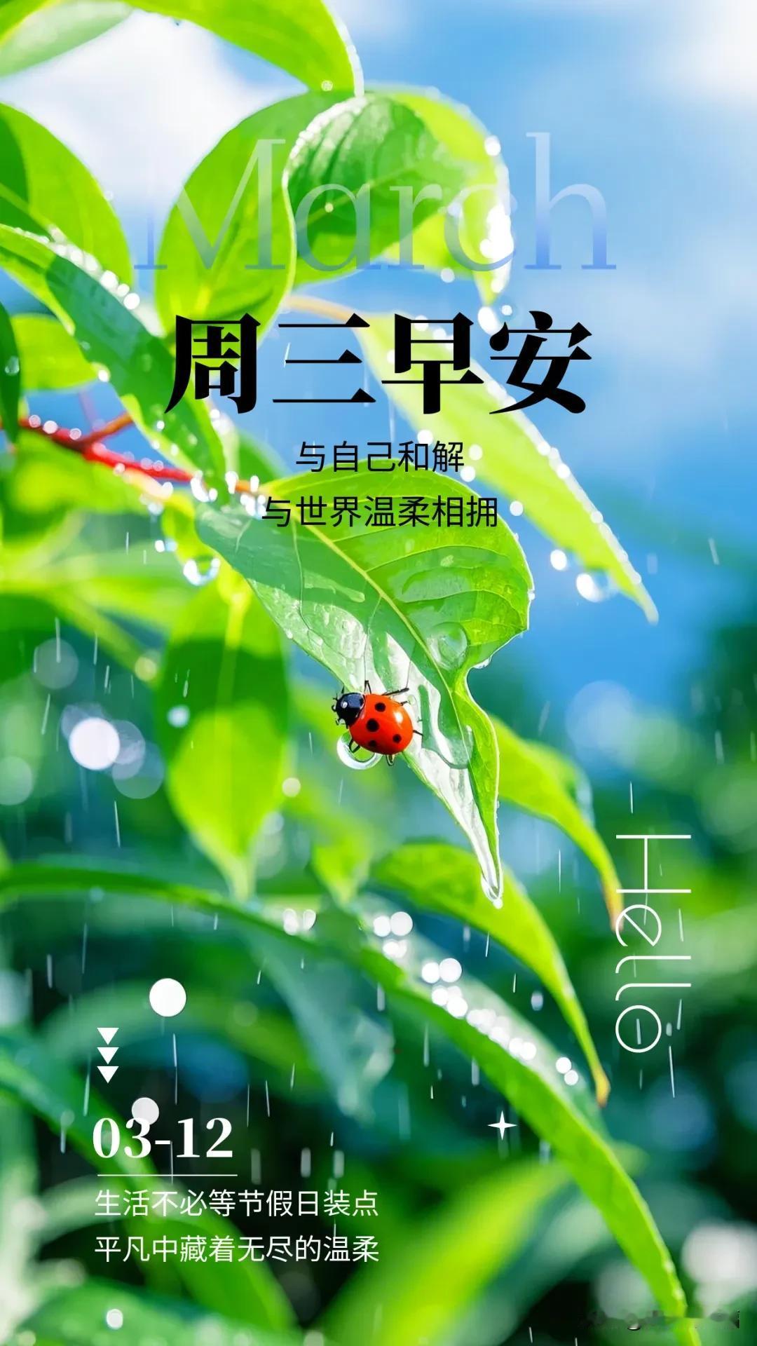 3月12日清晨送祝福：与自己和解，与世界温柔相拥。

生活不必等节假日装点，平凡